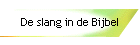 De slang in de Bijbel